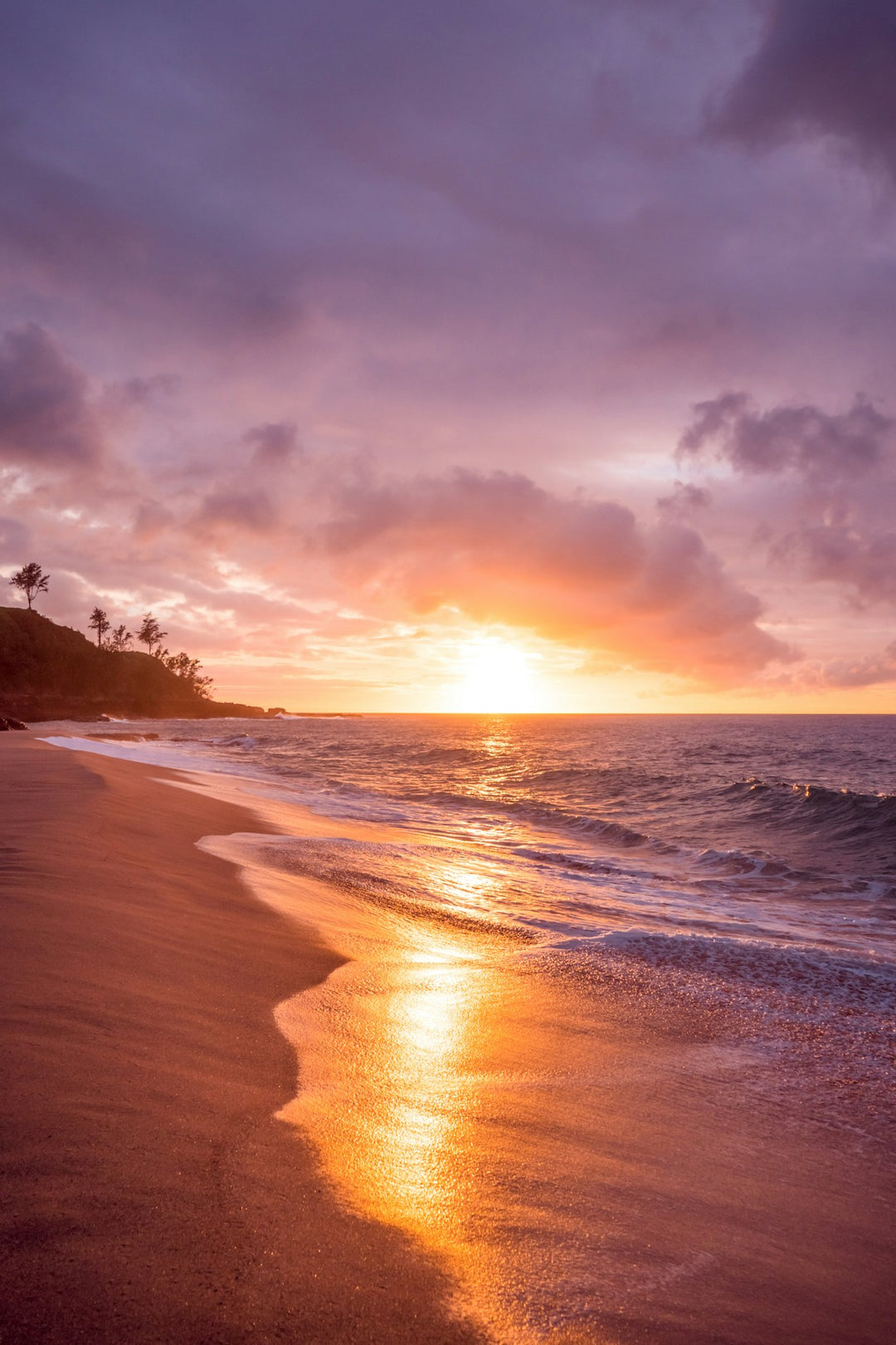 For Maui Jim