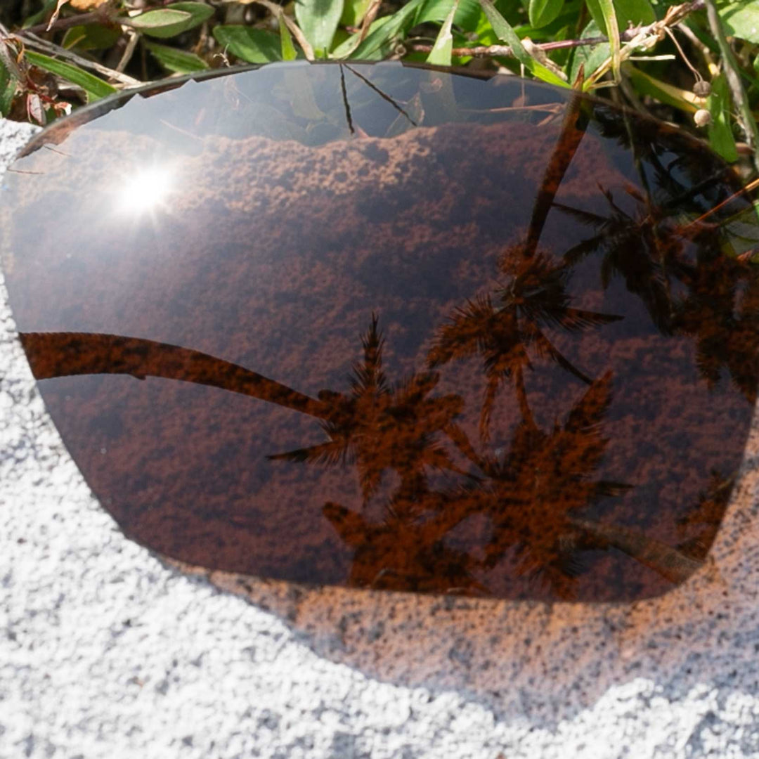 Brown Polarized