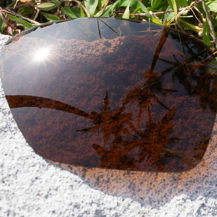 Brown Polarized