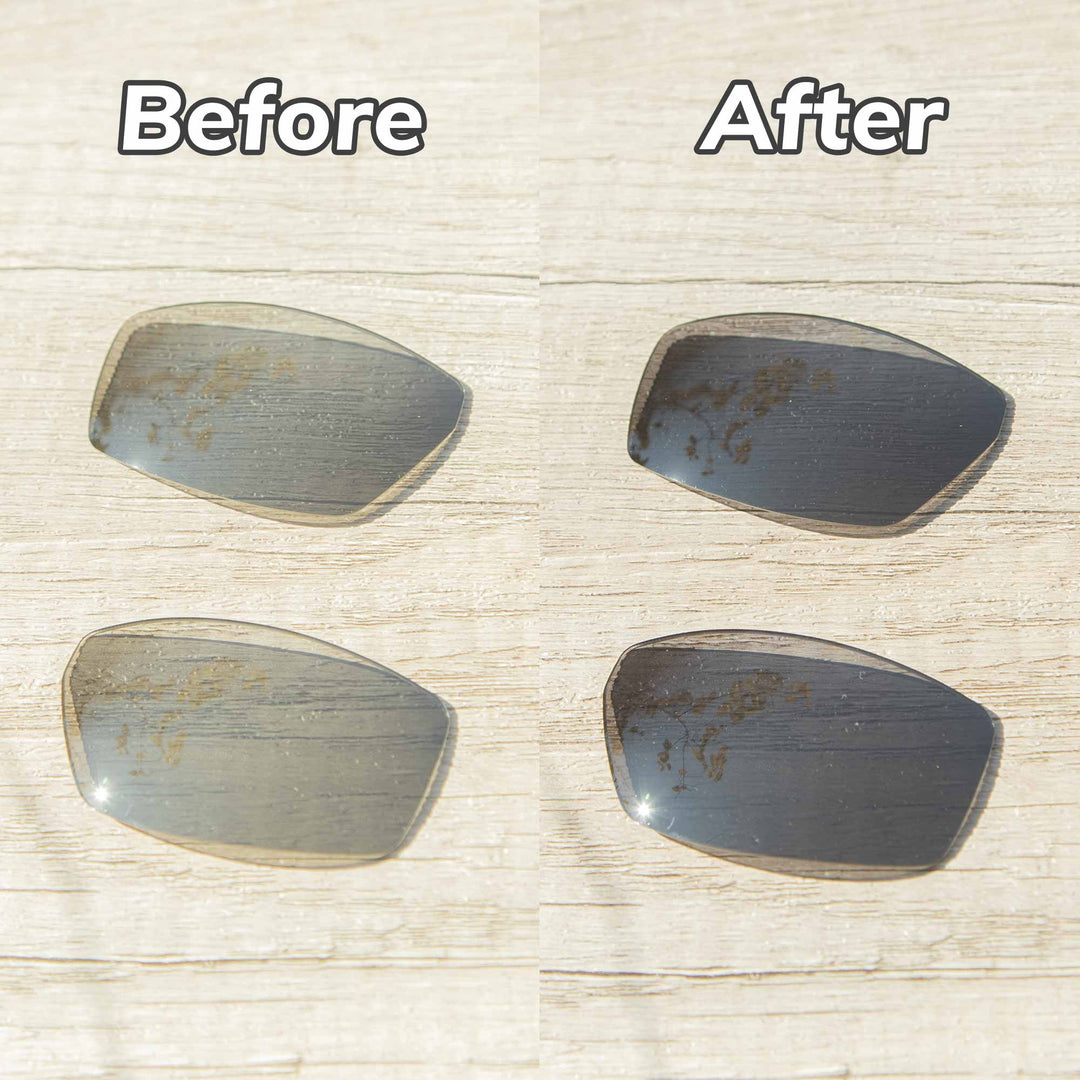 Transition Polarized