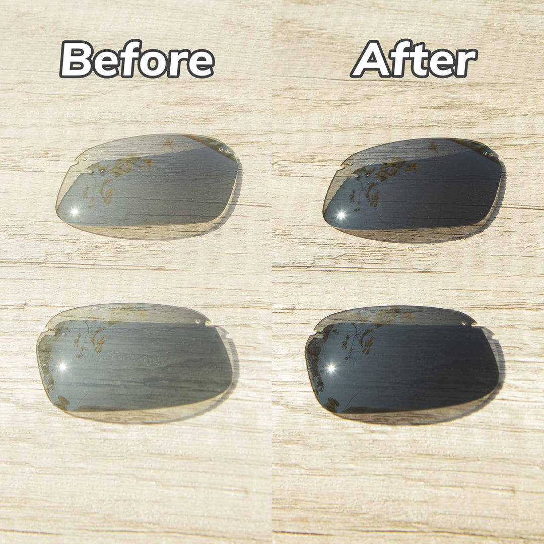Transition Polarized
