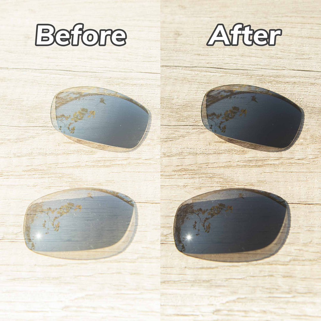 Transition Polarized