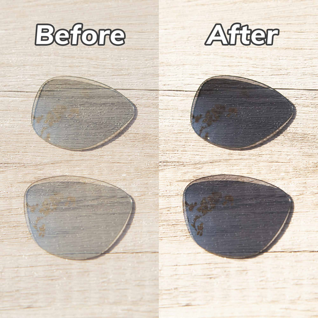 Transition Polarized