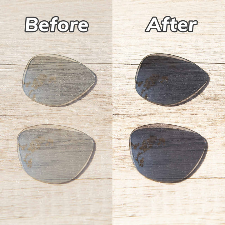 Transition Polarized