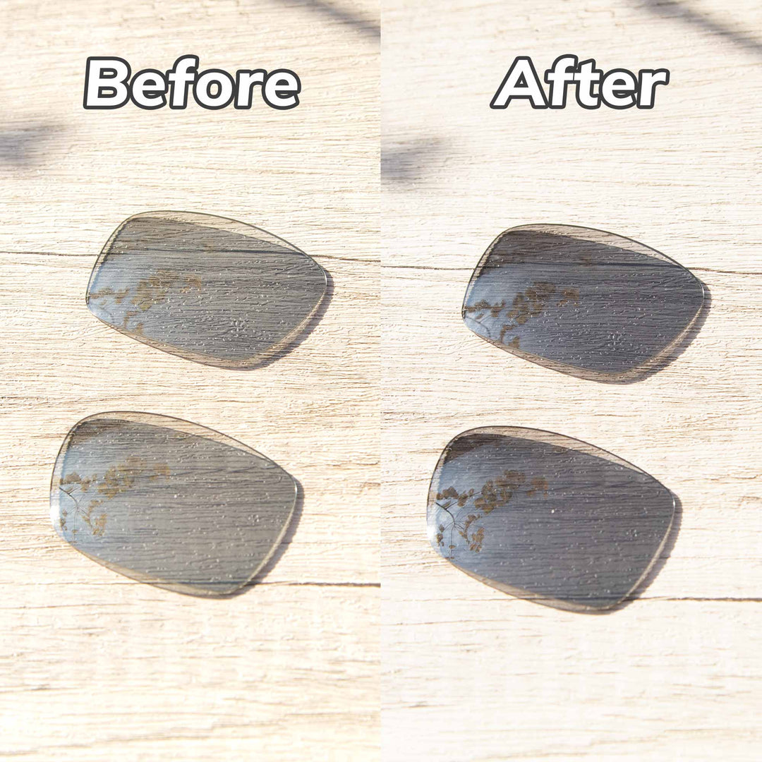 Transition Polarized