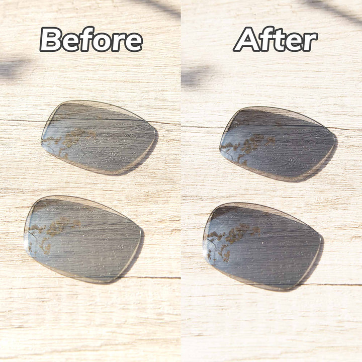 Transition Polarized