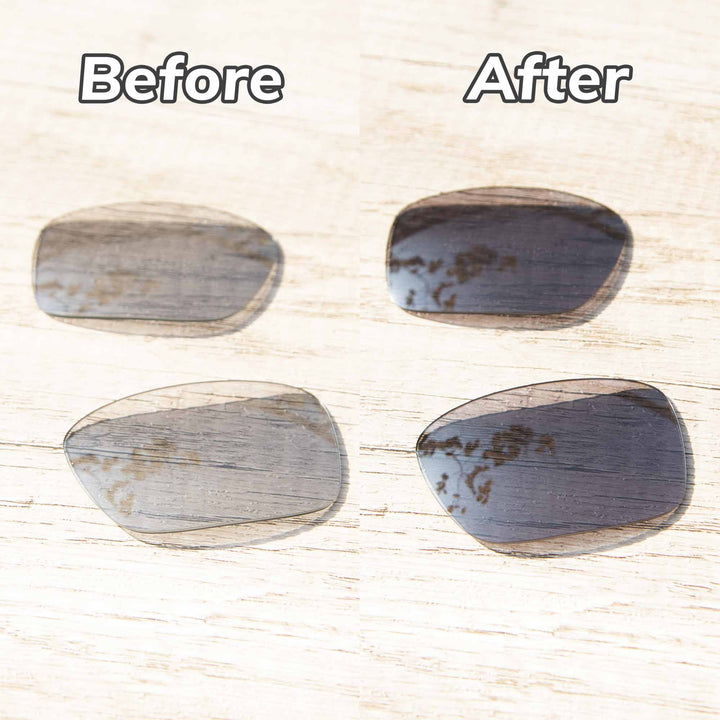 Transition Polarized