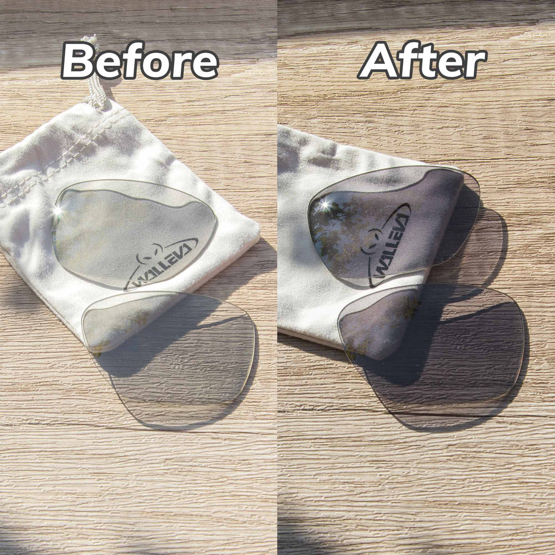 Transition Polarized