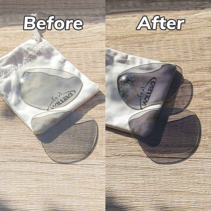 Transition Polarized