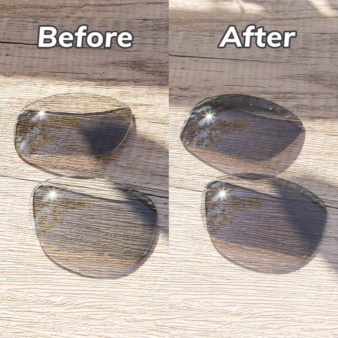 Transition Polarized