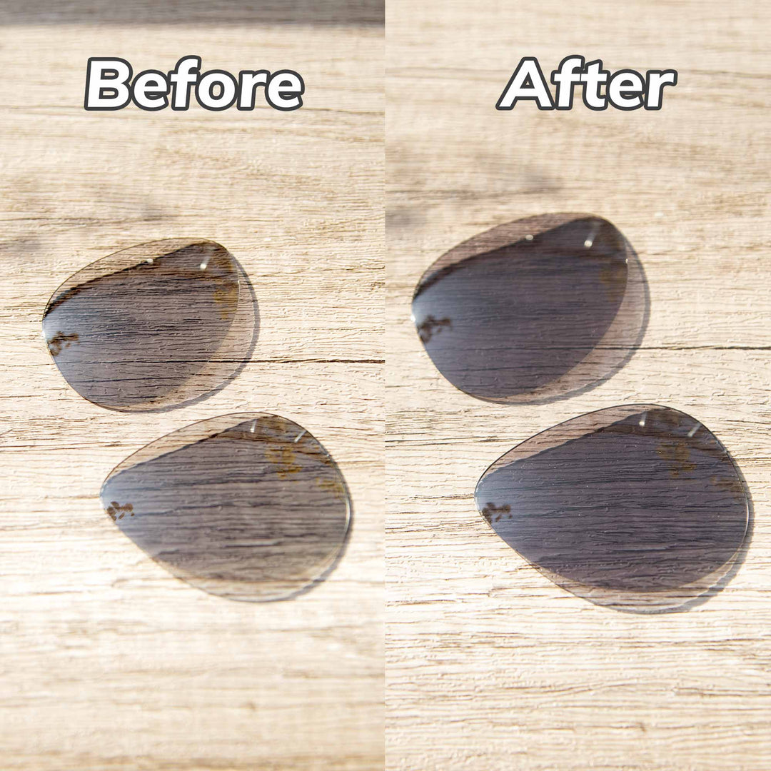 Transition Polarized