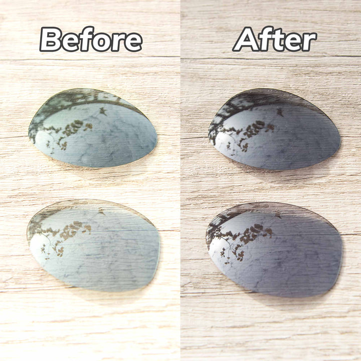 Transition Polarized