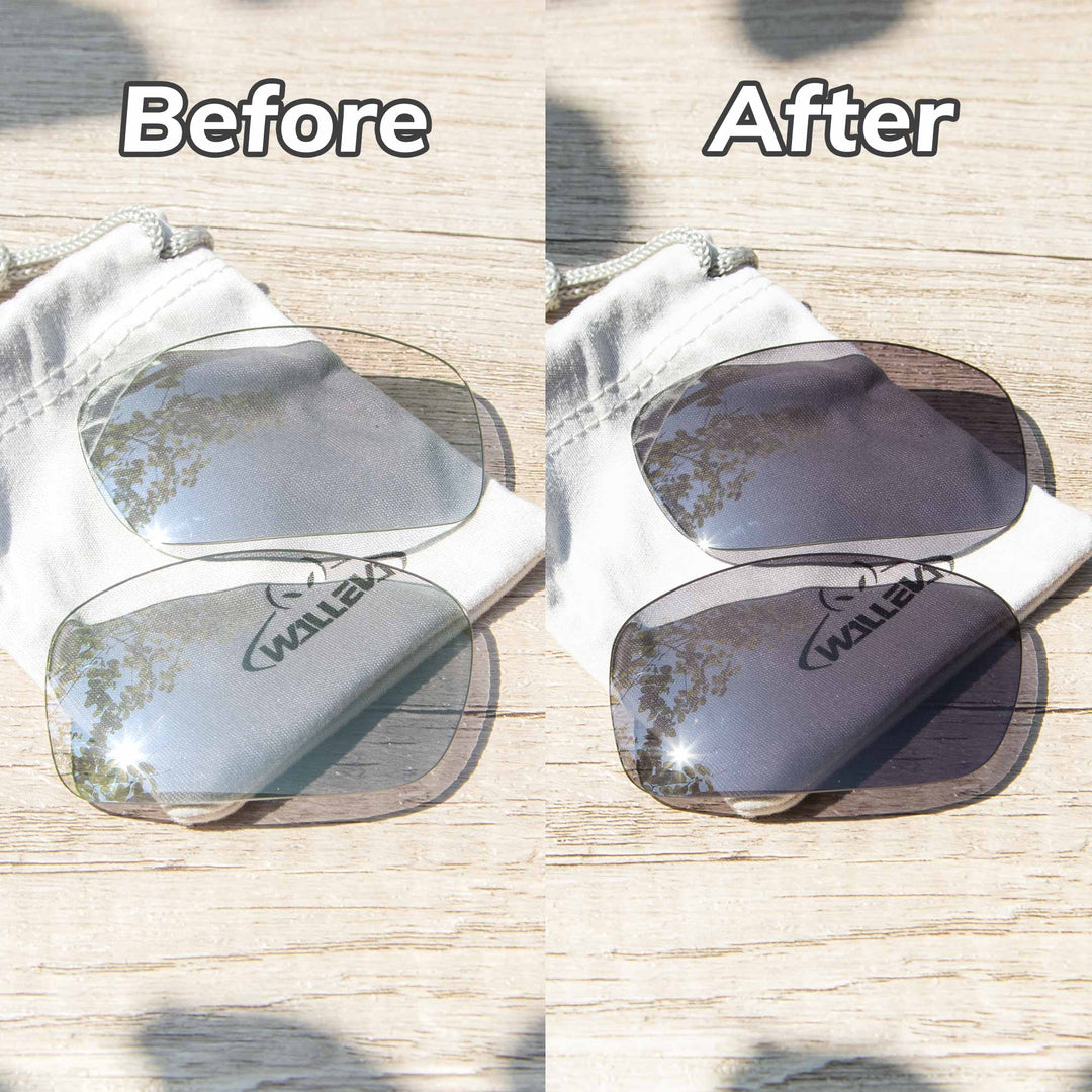 Transition Polarized