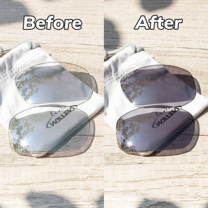Transition Polarized