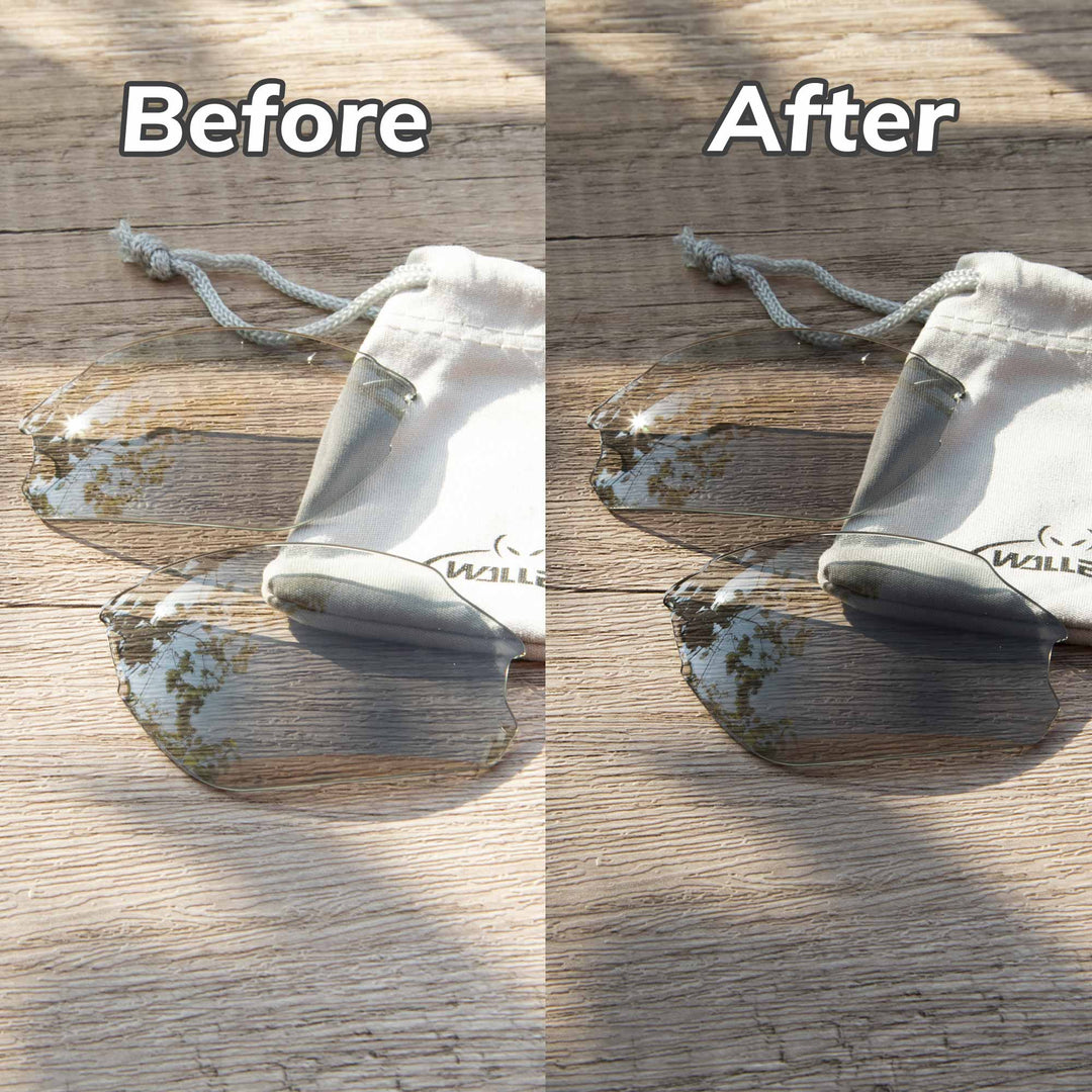 Transition Polarized