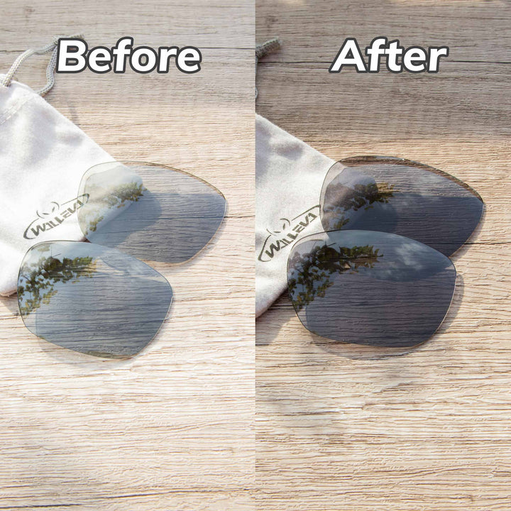 Transition Polarized