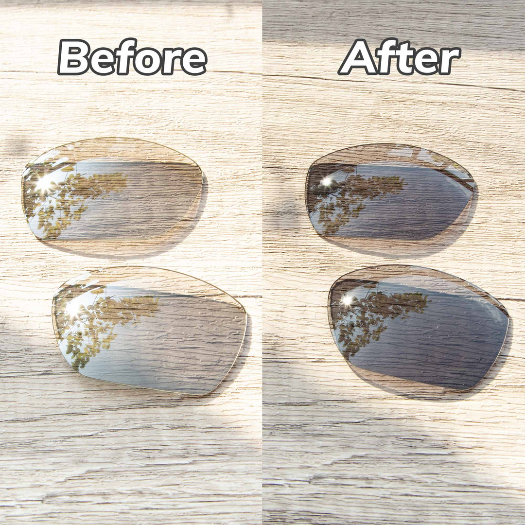 Transition Polarized