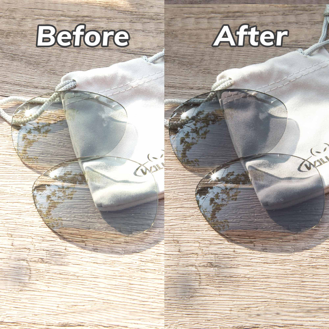 Transition Polarized