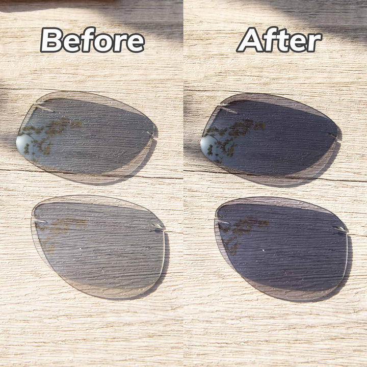 Transition Polarized