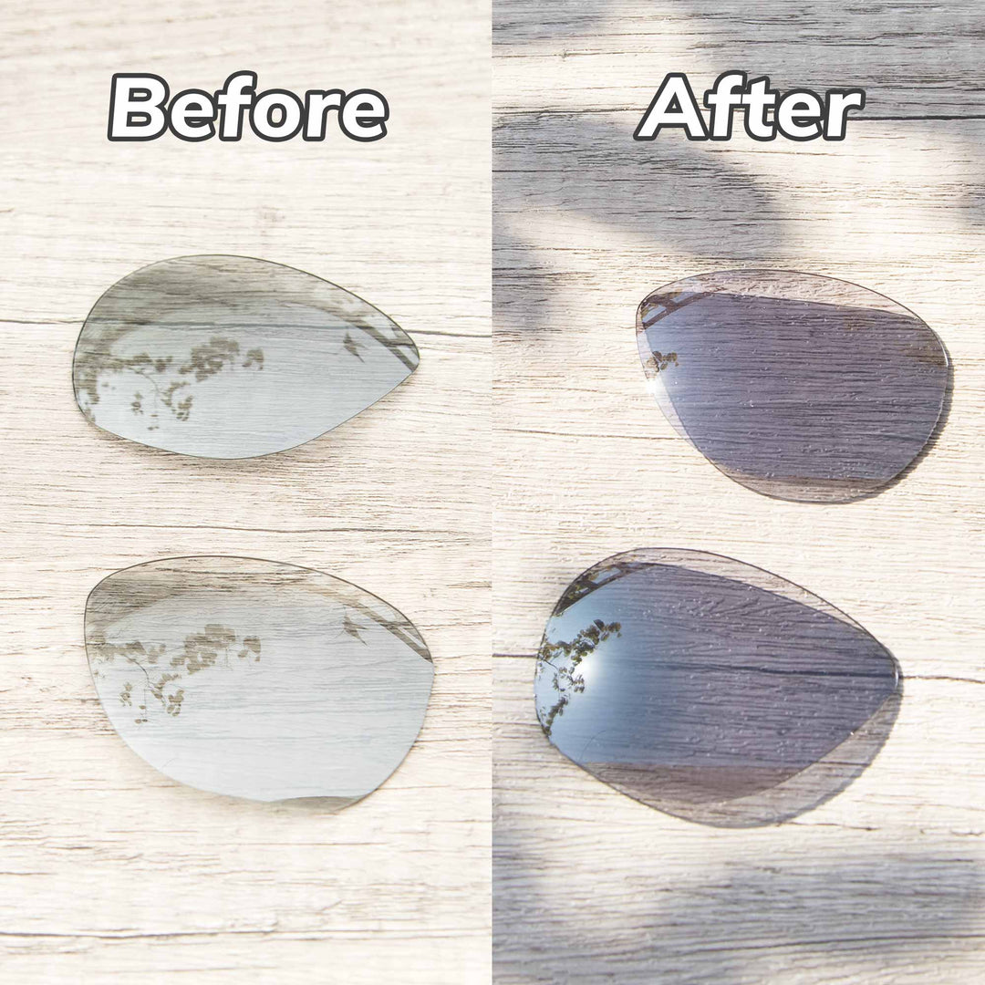 Transition Polarized