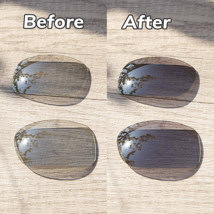 Transition Polarized