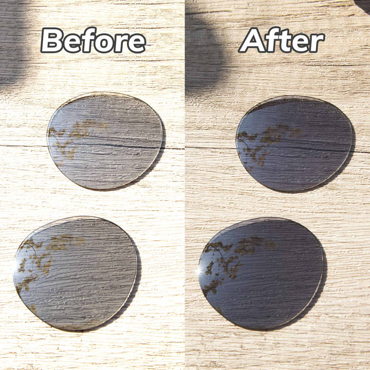 Transition Polarized