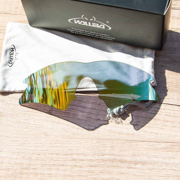 24K Gold Polarized