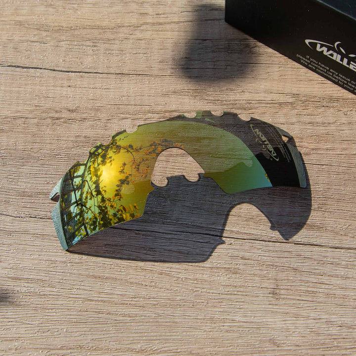 24K Gold Polarized