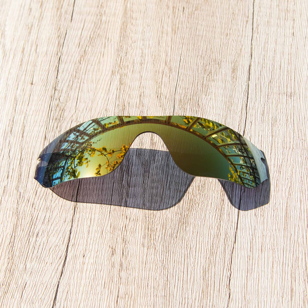 24K Gold Polarized