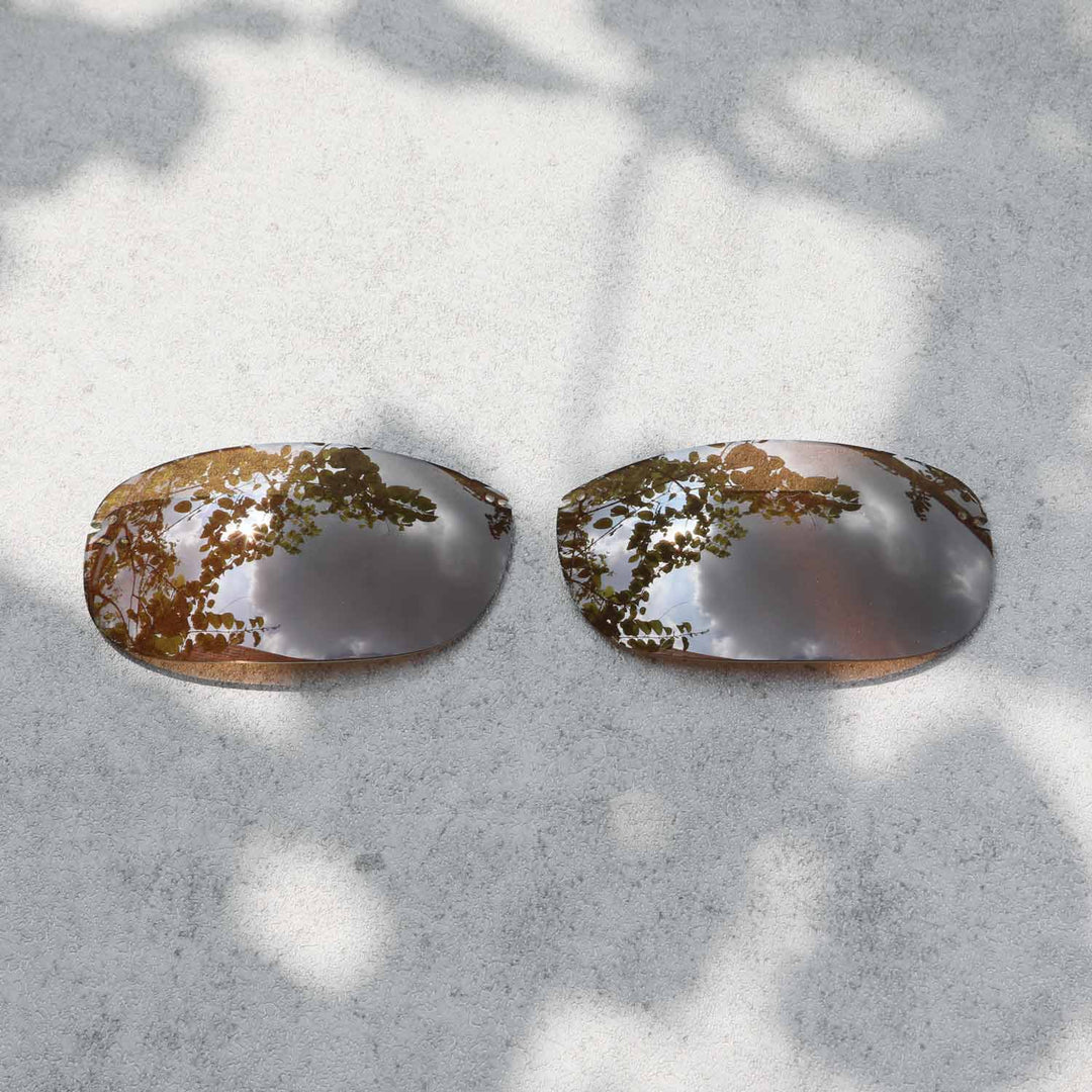 Brown Polarized