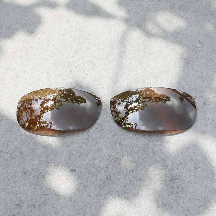 Brown Polarized