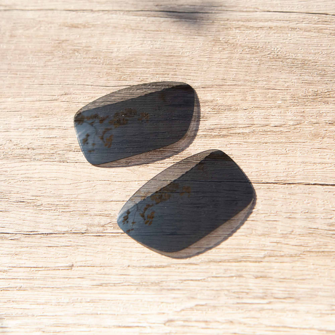 Black Polarized