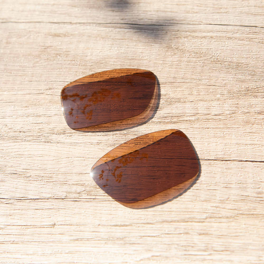 Brown Polarized