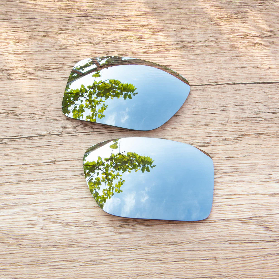 Titanium ISARC Polarized