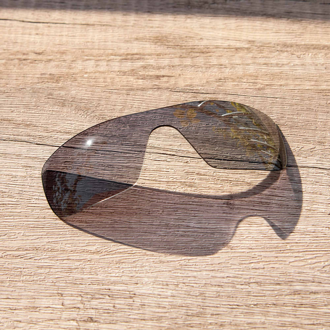 Black Polarized