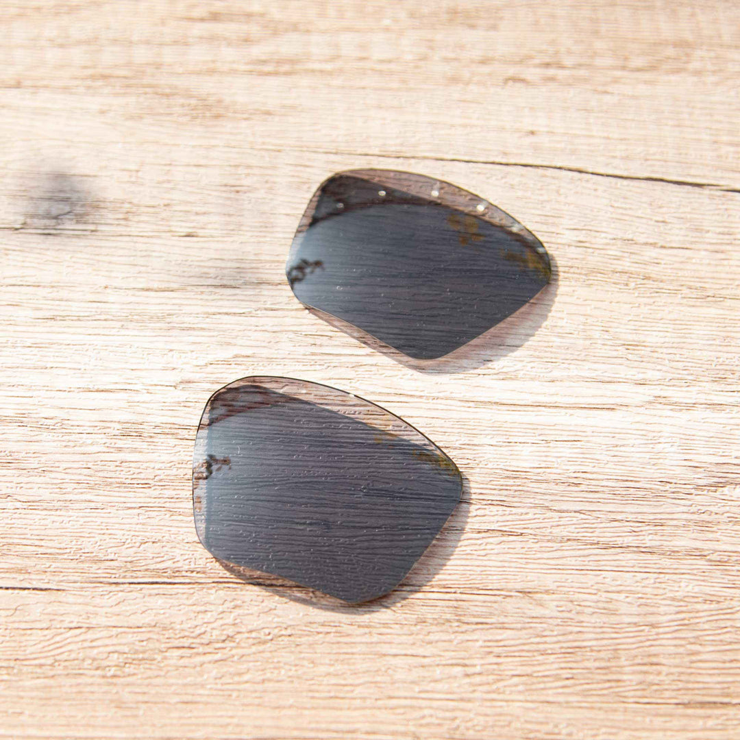 Black Polarized