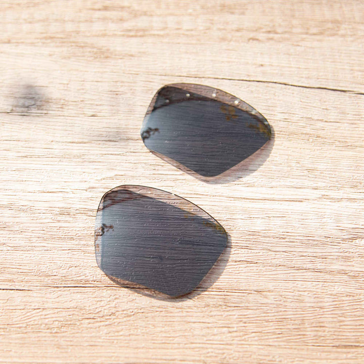 Black ISARC Polarized