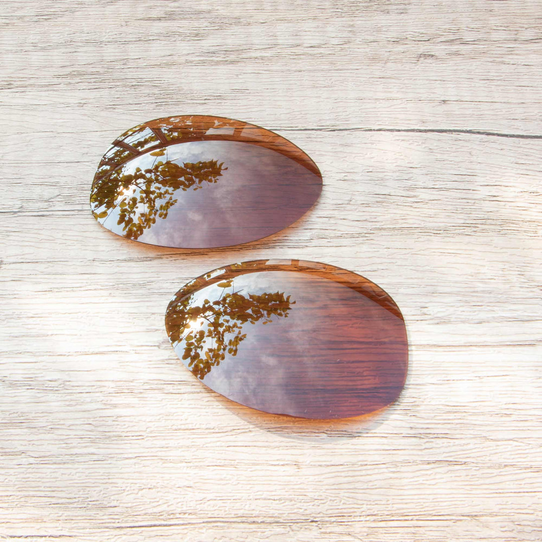 Brown Polarized
