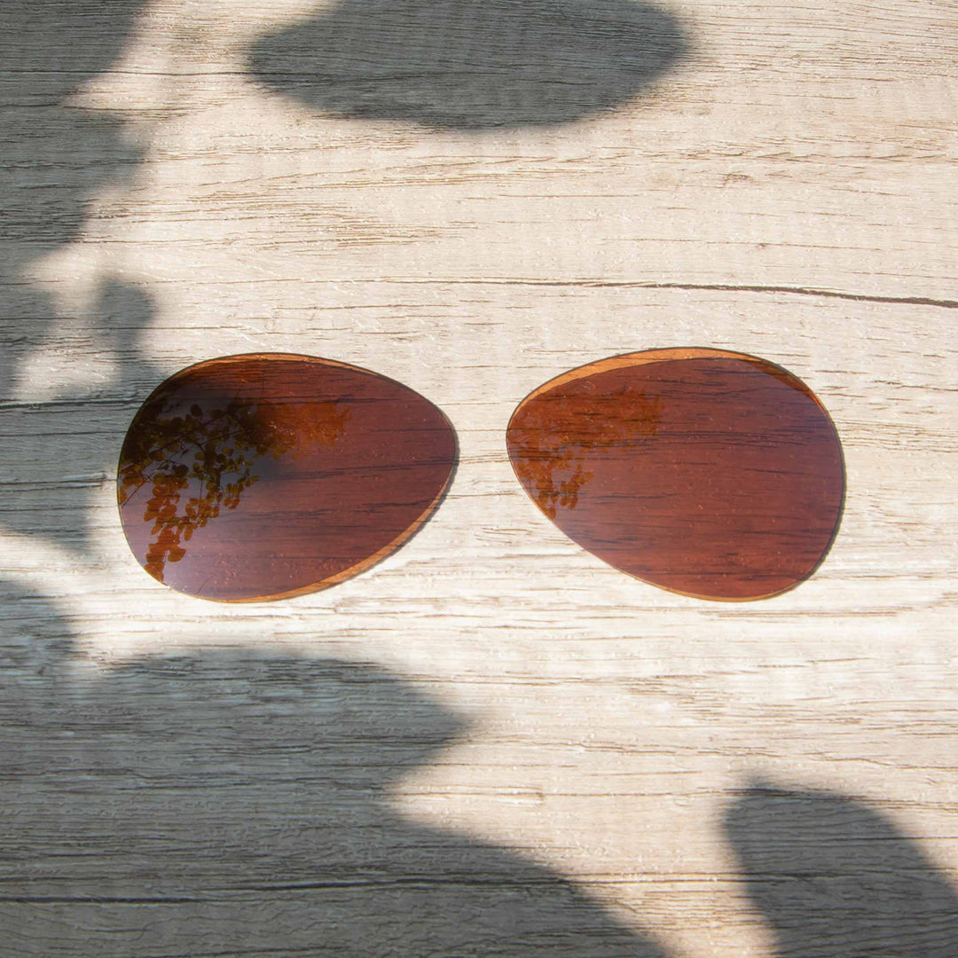 Brown Polarized