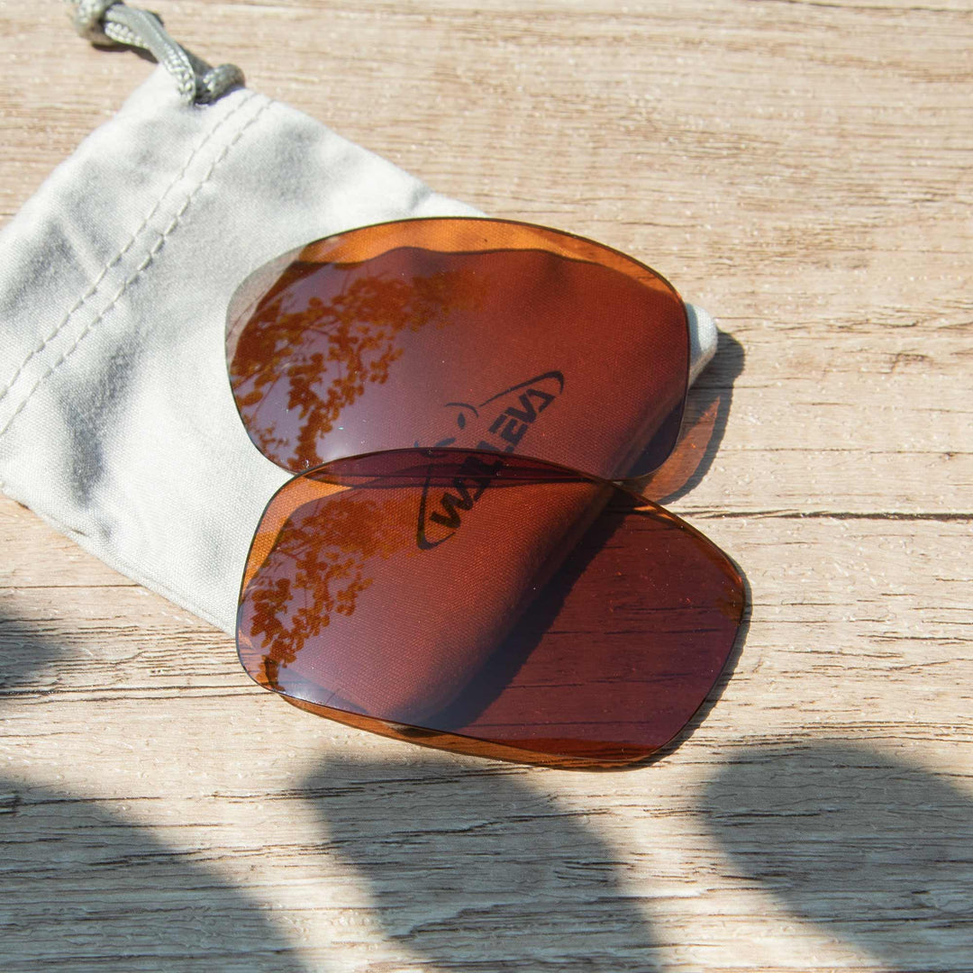 Brown Polarized