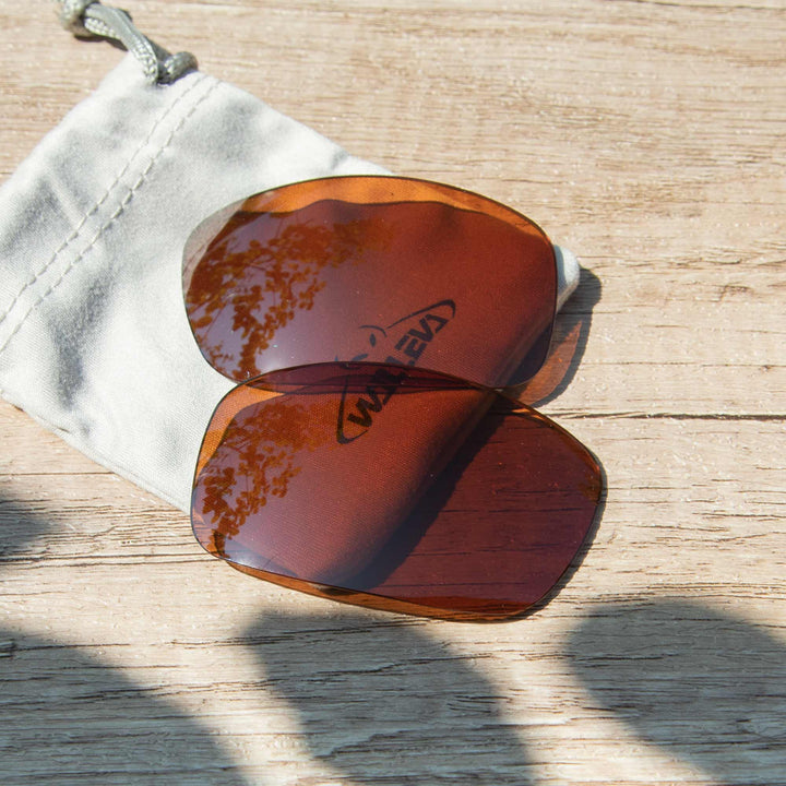 Brown Polarized