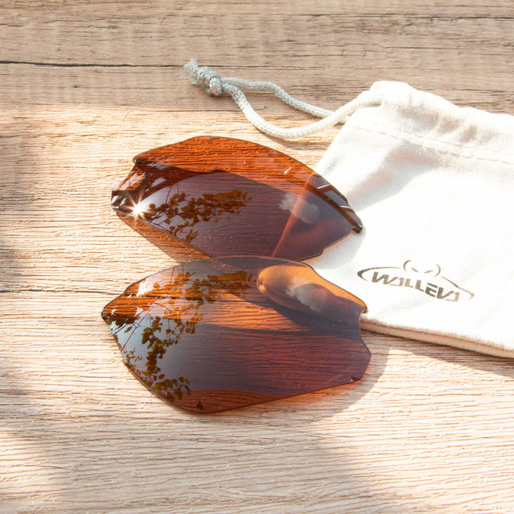 Brown Polarized