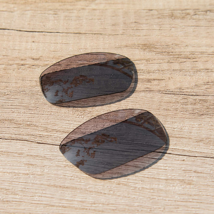 Black Polarized