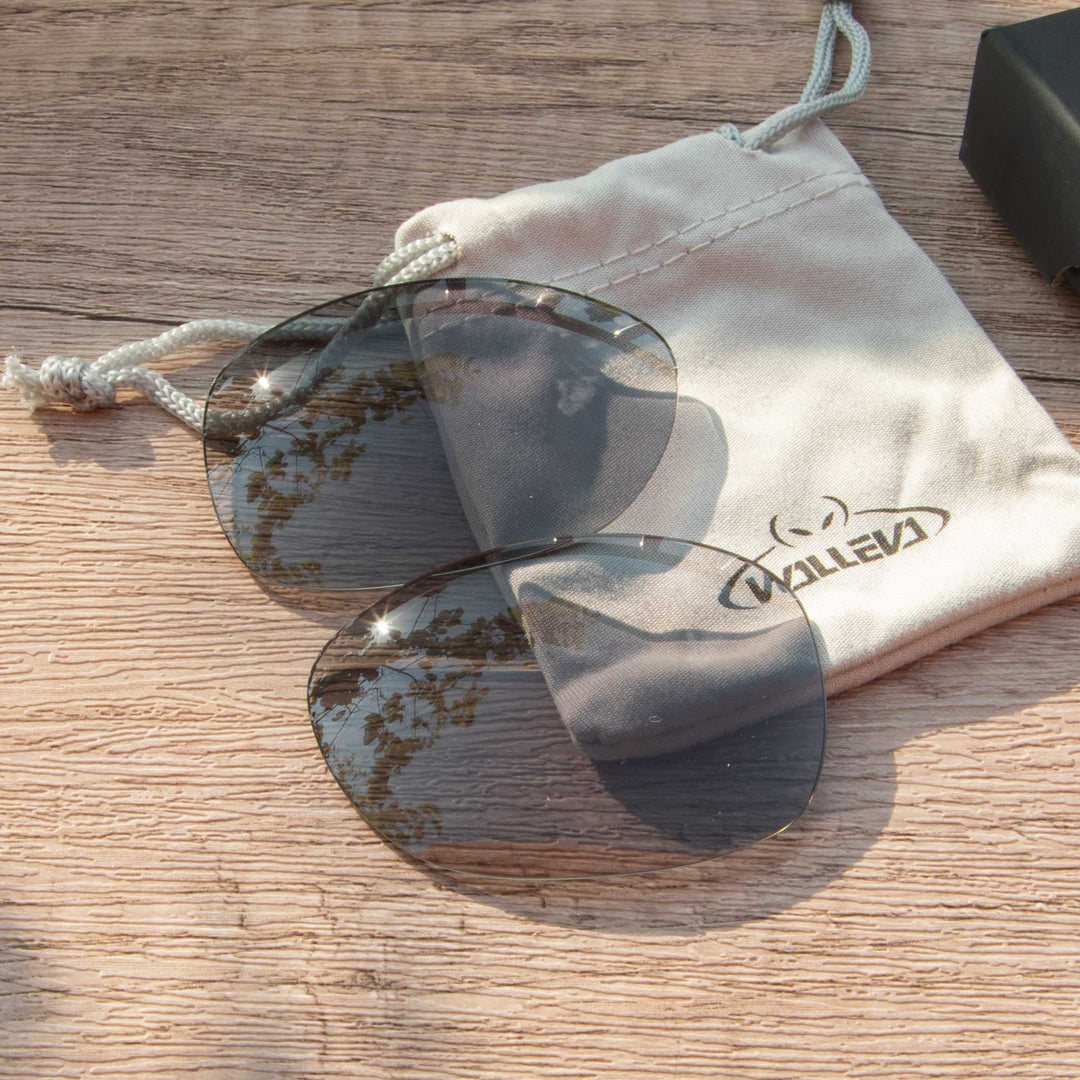Black Polarized
