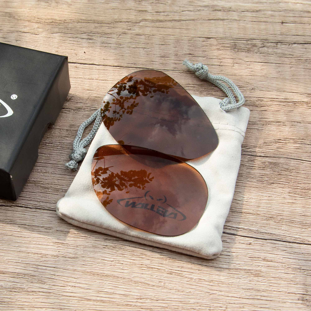Brown Polarized