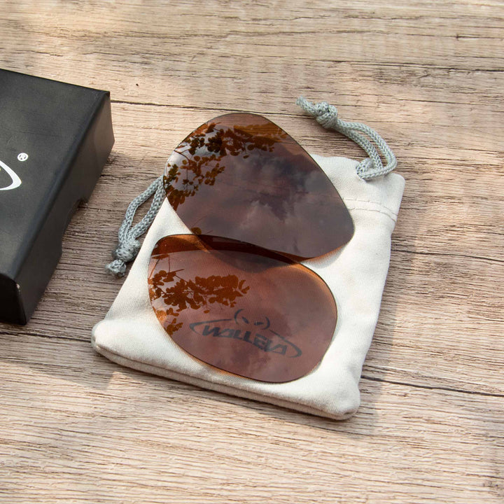 Brown Polarized
