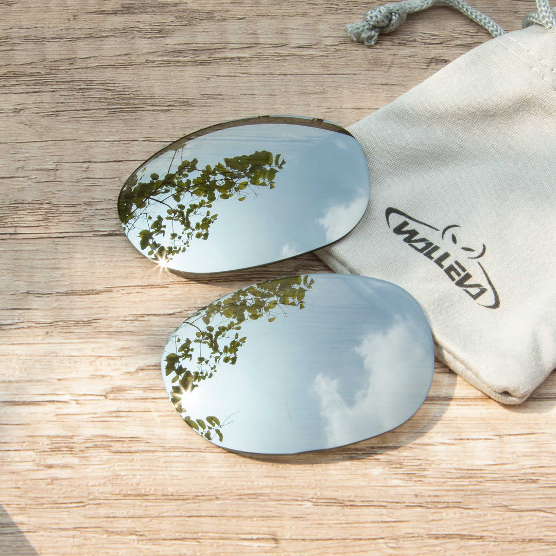 Titanium Polarized