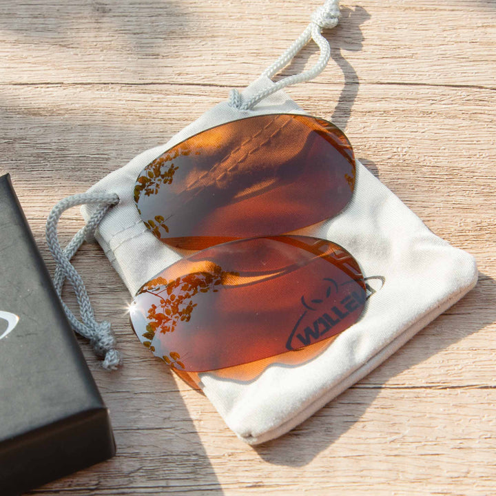 Brown Polarized