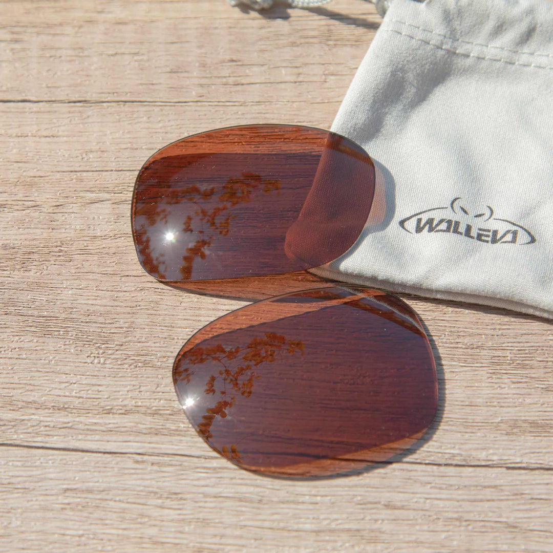 Brown Polarized