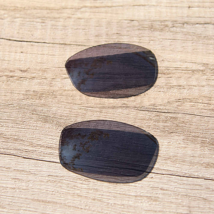 Black Polarized